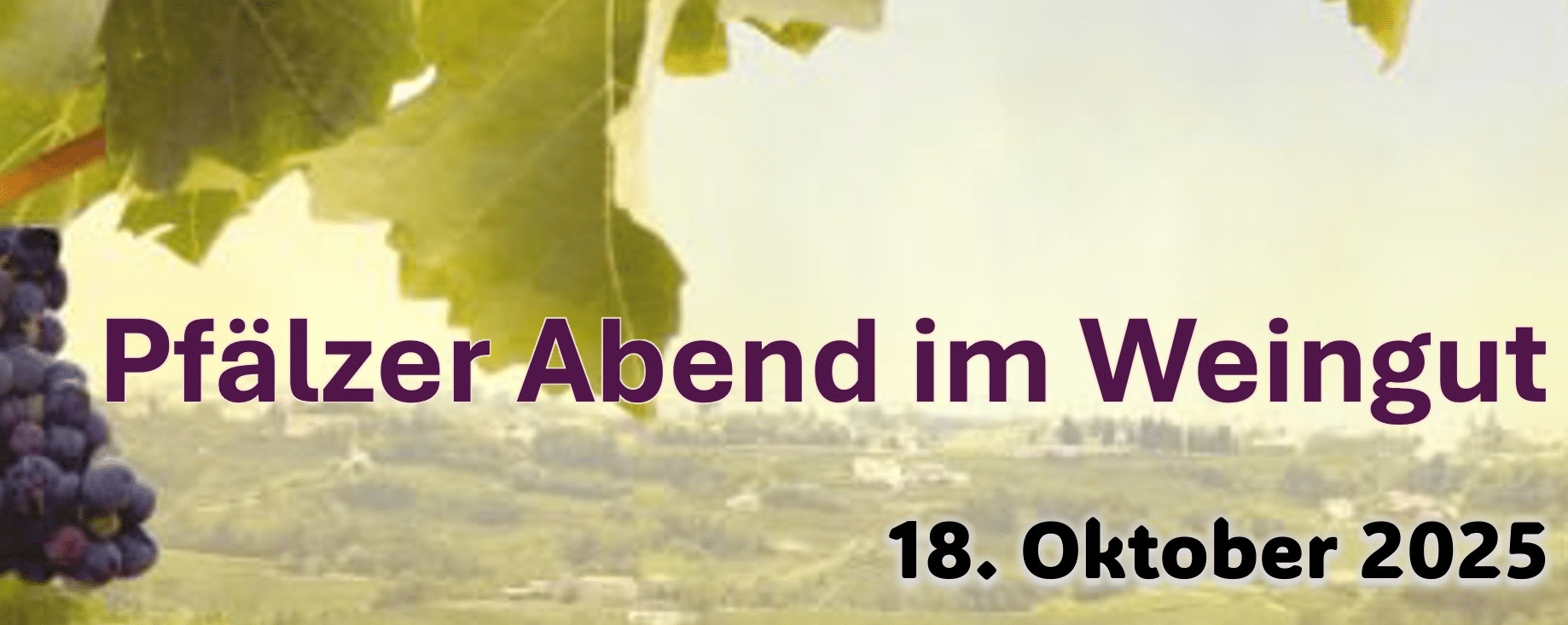 Pfälzer Abend im Weingut